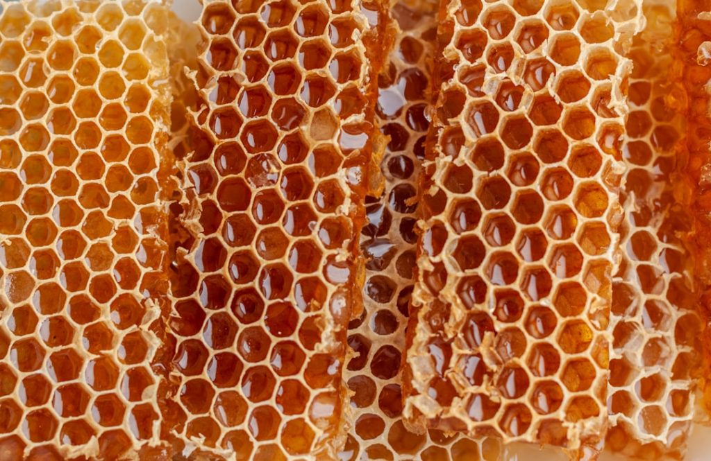 Close-up shot of honeycombs